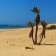 La Fascinante Boa Vista